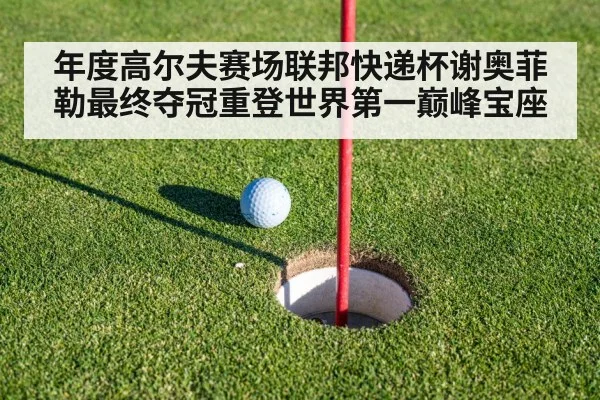 年度高尔夫赛场联邦快递杯谢奥菲勒最终夺冠重登世界第一巅峰宝座