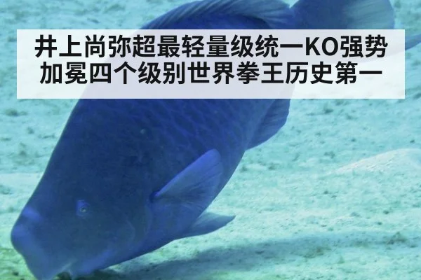 井上尚弥超最轻量级统一KO强势加冕四个级别世界拳王历史第一