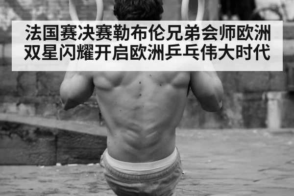 法国赛决赛勒布伦兄弟会师欧洲双星闪耀开启欧洲乒乓伟大时代